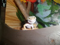 /album/galerie-de-photos-page-daccueil/sam-0938-jpg/