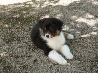 /album/galerie-de-photos-page-daccueil/sam-0450-jpg/