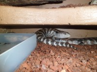 /album/galerie-de-photos-page-daccueil/sam-0524-jpg1/