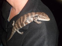 /album/galerie-de-photos-page-daccueil/sam-0533-jpg1/