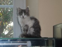 /album/galerie-de-photos-page-daccueil/sam-0546-jpg/