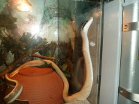 /album/galerie-de-photos-page-daccueil/sam-0554-jpg1/