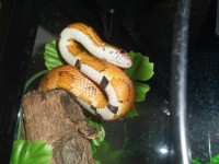 /album/galerie-de-photos-page-daccueil/sam-0572-jpg/