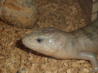 /album/galerie-de-photos-page-daccueil/sam-0620-jpg/