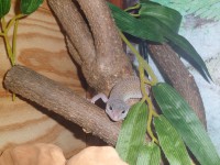 /album/galerie-de-photos-page-daccueil/sam-0680-jpg1/