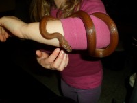 /album/galerie-de-photos-page-daccueil/sam-0722-jpg/