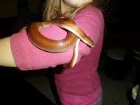 /album/galerie-de-photos-page-daccueil/sam-0723-jpg/