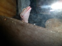 /album/galerie-de-photos-page-daccueil/sam-0736-jpg1/