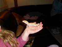 /album/galerie-de-photos-page-daccueil/sam-0738-jpg1/