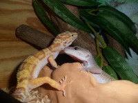 /album/galerie-de-photos-page-daccueil/sam-0793-jpg1/