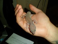 /album/galerie-de-photos-page-daccueil/sam-0835-jpg1/