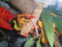 /album/galerie-de-photos-page-daccueil/sam-0856-jpg1/