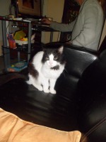 /album/galerie-de-photos-page-daccueil/sam-0903-jpg/