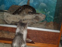 /album/galerie-de-photos-page-daccueil/sam-1003-jpg1/