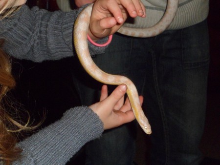 Cassandre, male d osiris