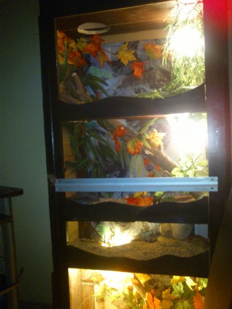 Le terrarium est en place au salon !