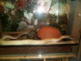 /album/photos-de-differents-geckos/sam-0582-jpg/