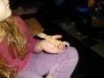 /album/nos-geckos/sam-0746-jpg/