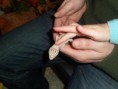 /album/nos-geckos/sam-0954-jpg/