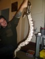 /album/totor-le-python/sam-0972-jpg/