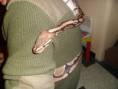 /album/totor-le-python/sam-0978-jpg/