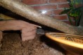 /album/nos-geckos/sam-1176-jpg/