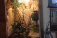 /album/nouveau-terra-en-construction-pour-les-dragons-de-madame-/sam-1230-jpg/